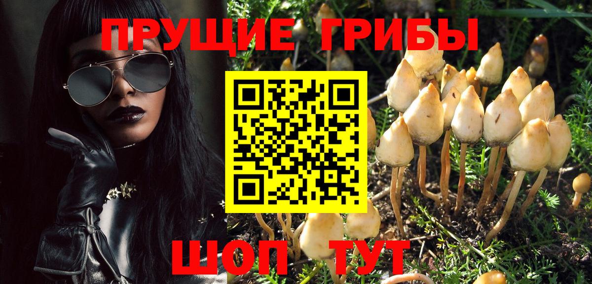 Чусовой  Псилоцибиновые грибы GOLDEN TEACHER  Вход с VPN 